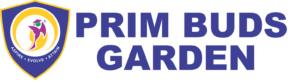 primebuds-new-logo-1536x419